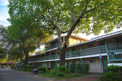 El Bonita Motel